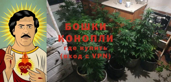 молекула духа Лагань