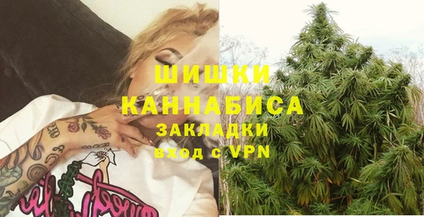 молекула духа Лагань