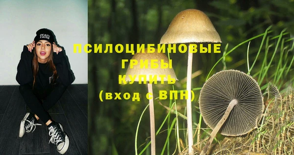 молекула духа Лагань