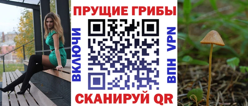 Купить где  Красный Холм  Псилоцибиновые грибы прущие грибы 