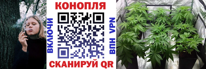 Купить закладки Красный Холм Конопля сатива